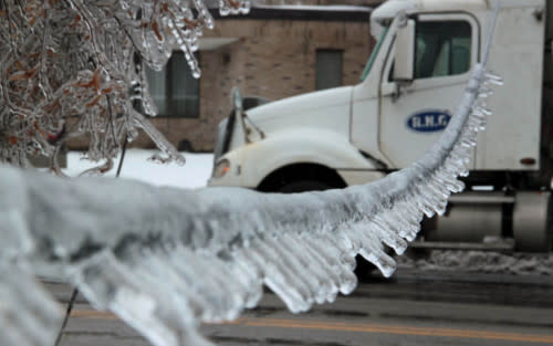 Ice branch