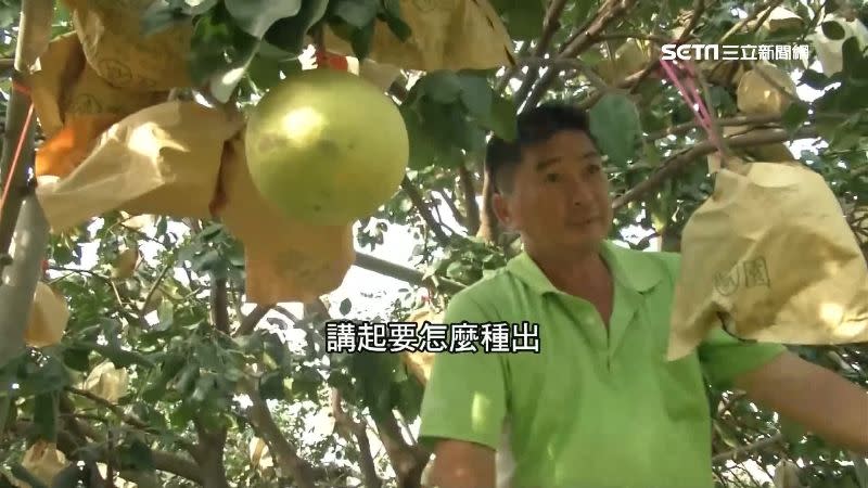 郭彥宏跟著父親一起種柚子，用牛奶栽培出文旦界LV。