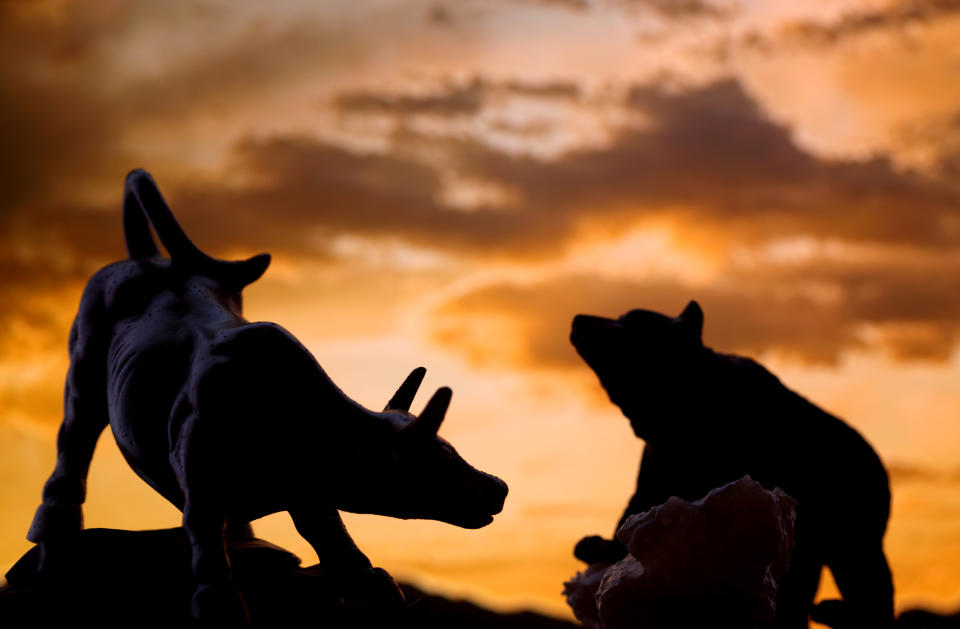 Silhouette shot of bull and bear