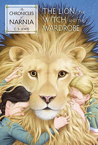 13) Chronicles of Narnia: Lion, the Witch and the Wardrobe
