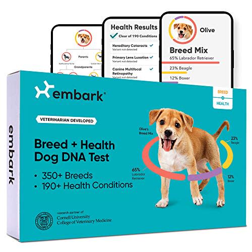 Embark Dog DNA Test (Amazon / Amazon)