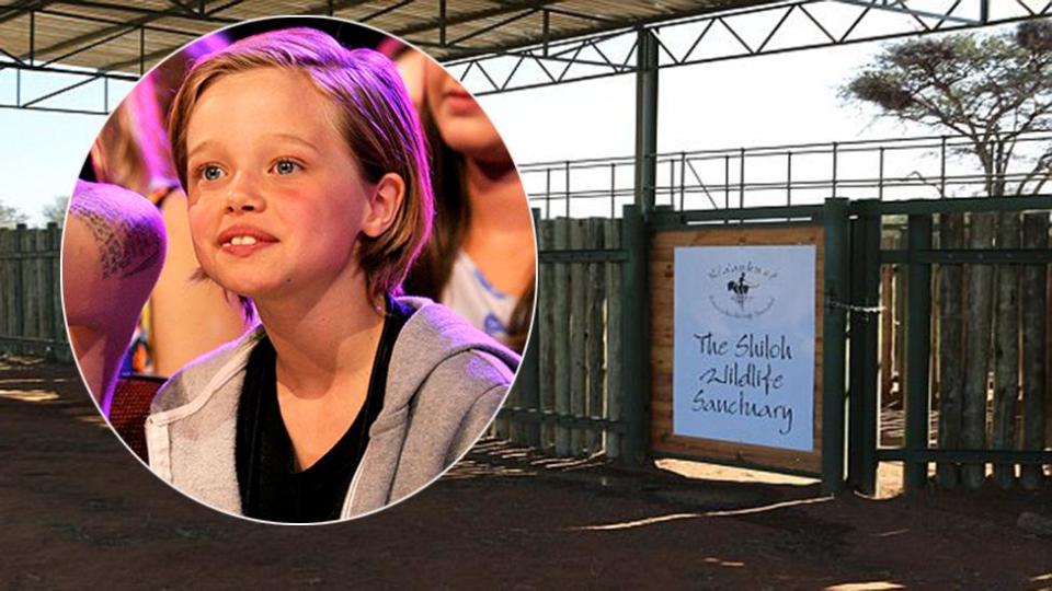 Inside Shiloh Jolie-Pitt's animal sanctuary