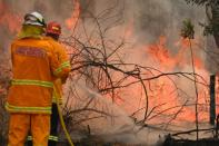 Prolonged�drought has left much of eastern Australia tinder dry and spot fires have raged every day