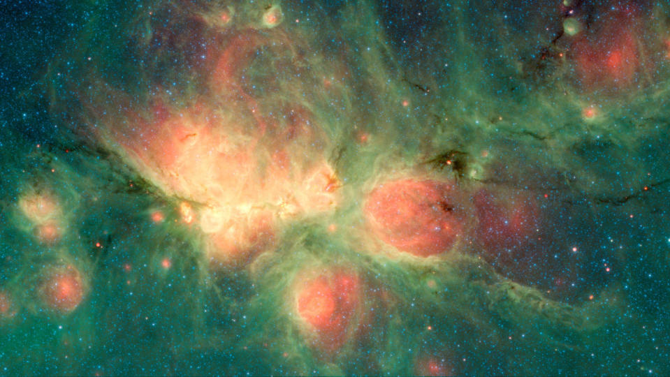 The Cat's Paw Nebula