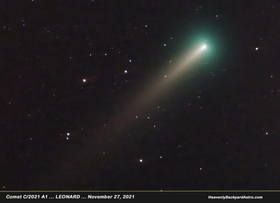 Comet Leonard