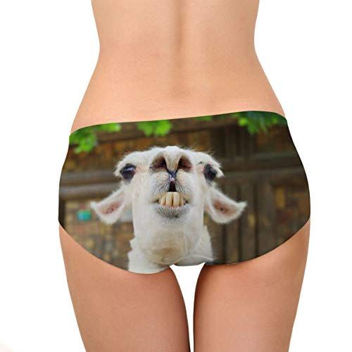 27) Alpaca Print Breathable Panties