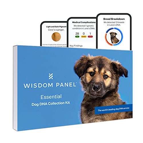 52) Wisdom Panel Essential: Most Accurate Dog DNA Test Kit