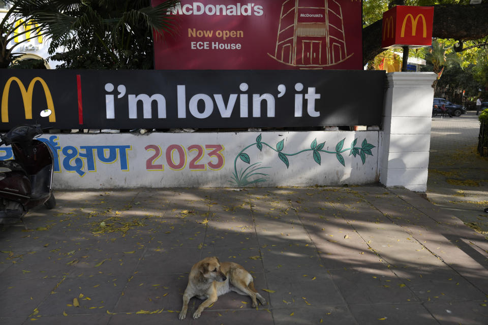 A stray dog lies outside a McDonald's outlet, in New Delhi, India, Friday, March 15, 2024. System failures at McDonald’s were reported worldwide Friday, shuttering some restaurants for hours and leading to social media complaints from customers, in what the fast food chain called a “technology outage” that was being fixed. (AP Photo/Manish Swarup)