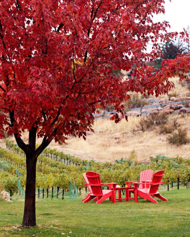 <p>Kathryn Barnard</p> Hard Row to Hoe Vineyards offers a sweet outdoor setting