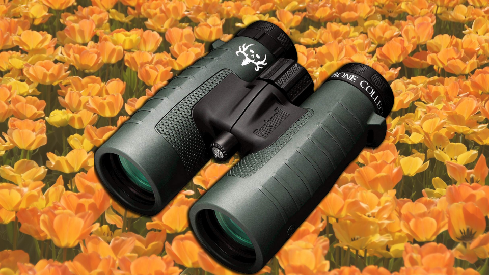 Save 67 percent on these highly rated Bushnell binoculars. (Photo: Amazon/Yahoo Lifestyle)