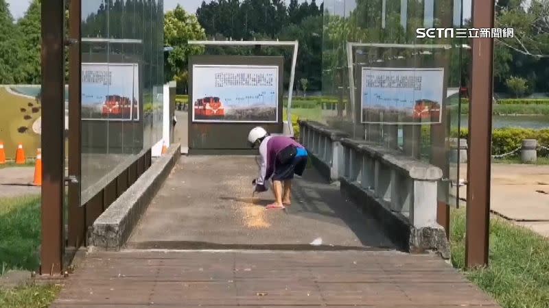 婦人都固定會到公園餵麻雀，但這個行為已經觸法。