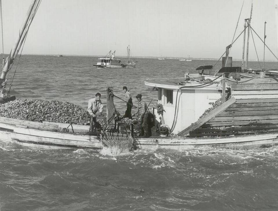 By the early 1900s, gasoline-powered luggers had replaced sail-driven schooners for catching oysters in the Mississippi Sound.