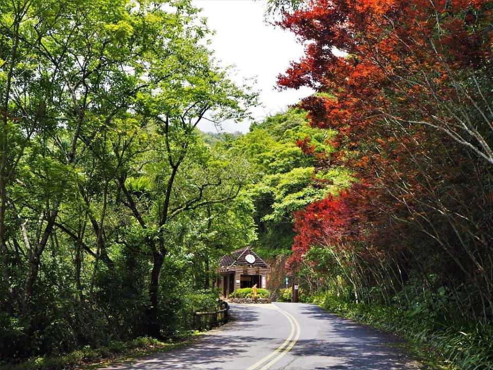 ▲台灣賞梅景點推薦–太平山翠峰湖。（圖／Tripbaa趣吧！亞洲自由行專家）