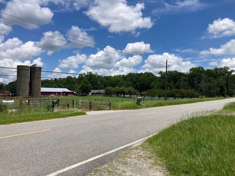 Bucolic Buckhalter Road, the shining jewel in the crown of this portion of the East Coast Greenway running through Chatham County. The road is is good repair and has low traffic volume -- for now.