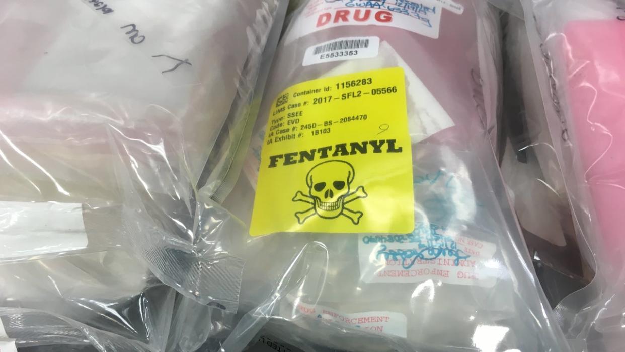 <div>Bags of drugs are displayed on a table during a press conference held by the United States Attorney's Office in Boston, MA.</div> <strong>(David L. Ryan/The Boston Globe via Getty Images)</strong>