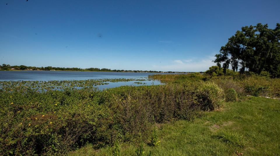 The city purchased the roughly 32-acre property approximately 10 to 15 years ago to restore it to wetlands to benefit Lake Conine.