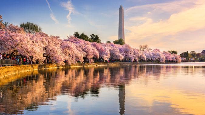 SeanPavonePhoto / Getty Images/iStockphoto