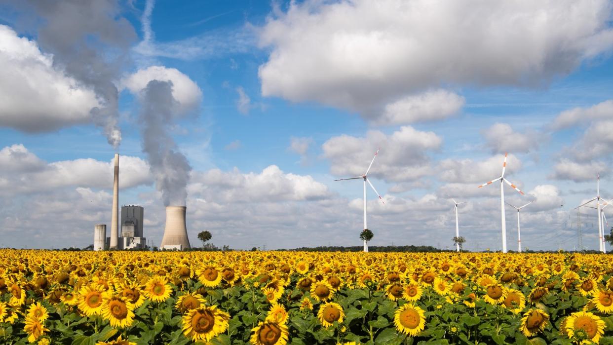 Energiequellen wie hier ein Kohlekraftwerk sollen von umweltfreundlicheren Energieträgern aus Sonne und Wind ersetzt werden.