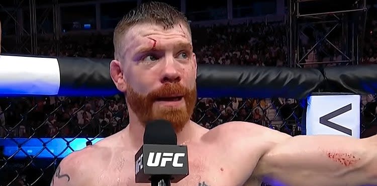 Paul Felder UFC 242 post-fight interview