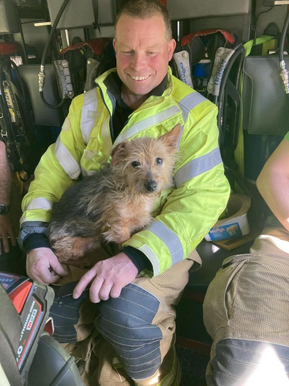 Falmouth Packet: James with Piran the terrier