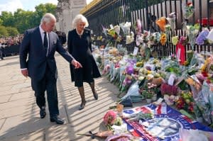 King Charles III Delivers Address to the Nation 3