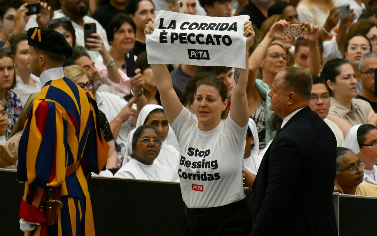 An activist holds up a poster reading 'bullfighting is a sin' during a weekly general audience with Pope Francis