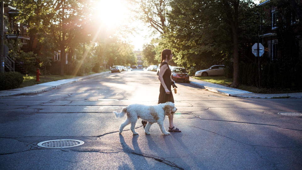 Linda Raymond / Getty Images/iStockphoto