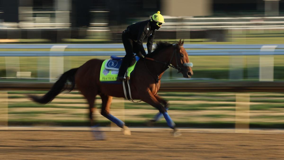 Practical Move out of Kentucky Derby with high temperature