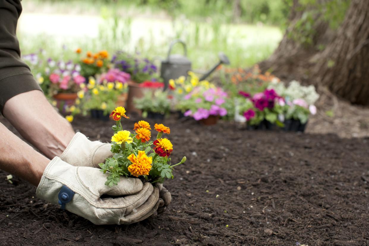 woman gardening