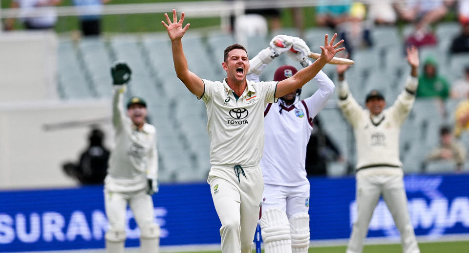 Seen here, Aussie cricket star Josh Hazlewood.