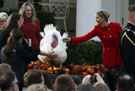 White House senior advisor Ivanka Trump pets the National Thanksgiving turkey "Drumstick" as Tiffany Trump (3rdL), daughter of U.S. President Donald Trump, looks on during the 70th turkey pardoning ceremony in the Rose Garden of the White House in Washington, U.S., November 21, 2017. REUTERS/Jim Bourg