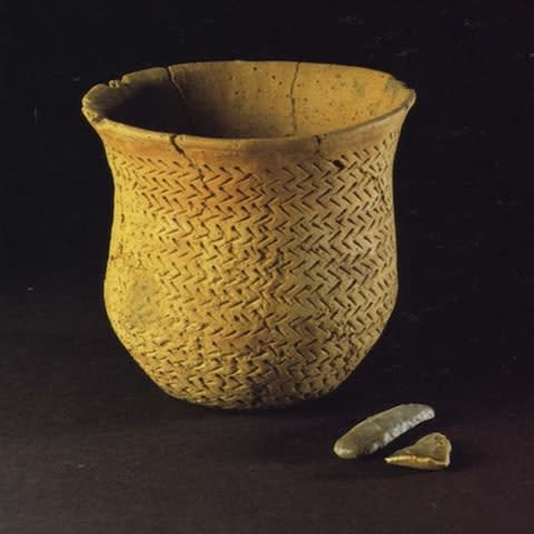 Beaker people earned their name from the characteristic pottery they fashioned and left behind wherever they settled - Credit: Alison Sheridan/National Museum/PA
