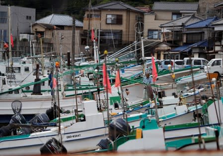 A fisherman is seen at Wada fishing port in Minamiboso