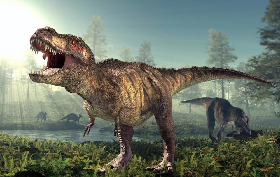 <span class="caption">_Tyrannosaurus rex_ spanned all of ancient North America, and about 20,000 lived at once.</span> <span class="attribution"><a class="link " href="https://commons.wikimedia.org/wiki/File:Tyrannosaurus-rex-Dinosaur.jpg#/media/File:Tyrannosaurus-rex-Dinosaur.jpg" rel="nofollow noopener" target="_blank" data-ylk="slk:1Ado123/Wikimedia Commons;elm:context_link;itc:0;sec:content-canvas">1Ado123/Wikimedia Commons</a>, <a class="link " href="http://creativecommons.org/licenses/by-sa/4.0/" rel="nofollow noopener" target="_blank" data-ylk="slk:CC BY-SA;elm:context_link;itc:0;sec:content-canvas">CC BY-SA</a></span>