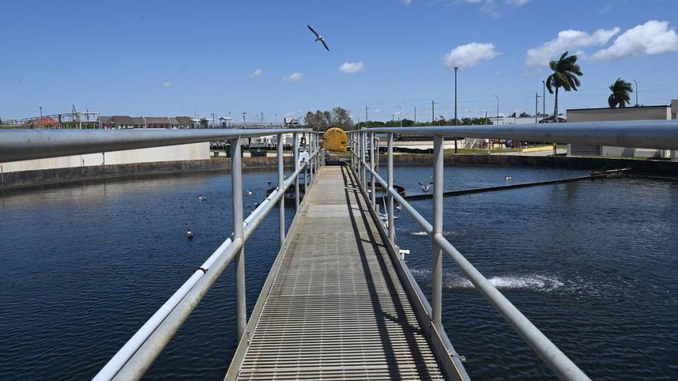 A clarifier, which separates solids from the water, at the Bradenton Water Reclamation facility on March 26, 2024. Records say that a lack of staff and experience at the City of Bradenton’s wastewater treatment plant has led to numerous sewage spills in recent months, including a 1.2. million-gallon spill in February that polluted the Manatee River.