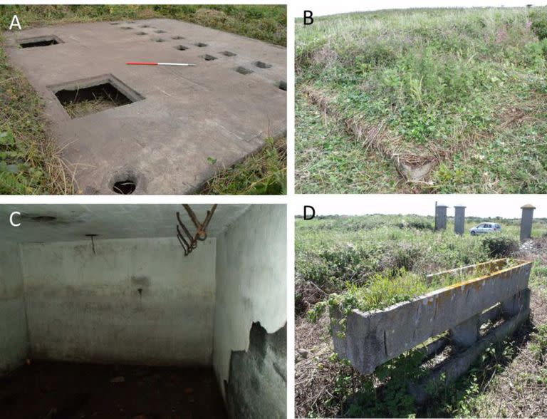 A) El bloque de letrinas. B) Oficina de las SS. C) Sótano de la cocina de los prisioneros. D)Establos