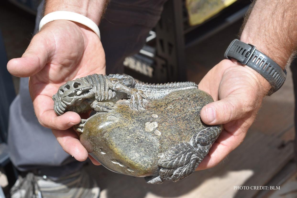 An image shows a paleontological resource that is being used as evidence in the case.