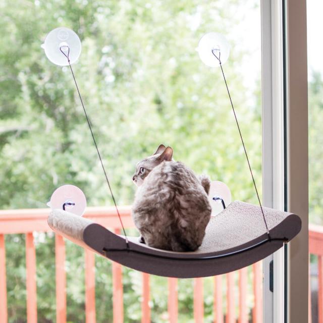 The 12 Best Cat Window Perches For Every Type of Kitty Loaf