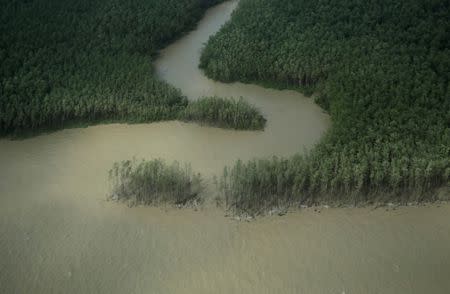 FILE PHOTO: A river reaches the Atlantic Ocean on the coast of Amapa state near Oiapoque city, extreme northern Brazil, March 31, 2017. Picture taken March 31, 2017. REUTERS/Ricardo Moraes