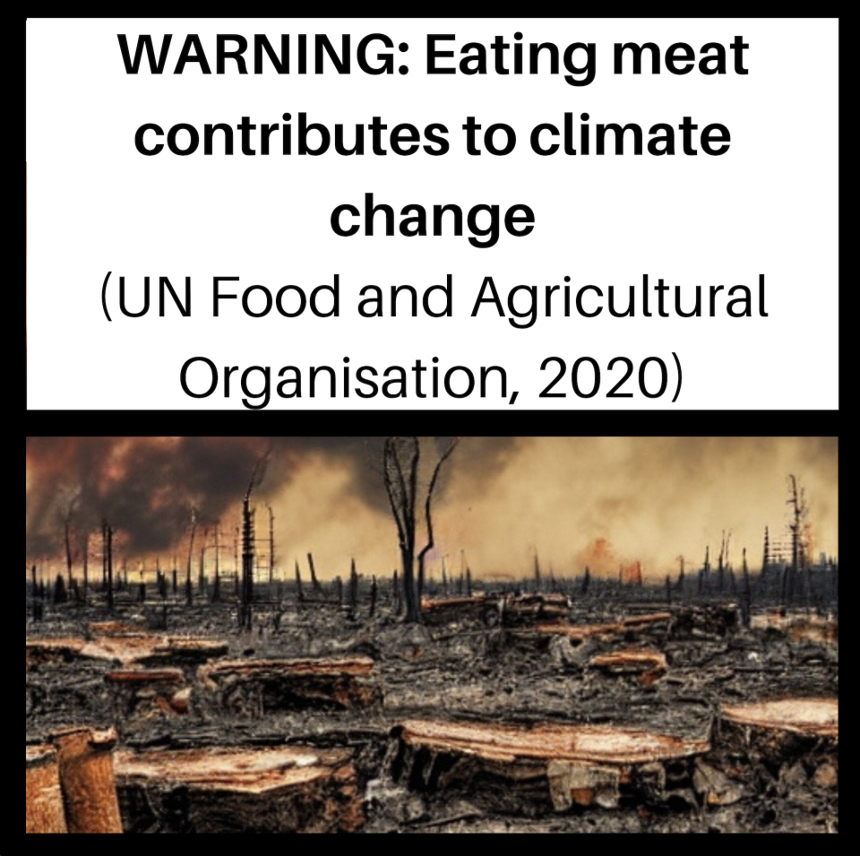 « Manger de la viande contribuer au réchauffement climatique » : un message d’avertissement accompagné d’une illustration, sur le modèle des paquets de cigarettes.