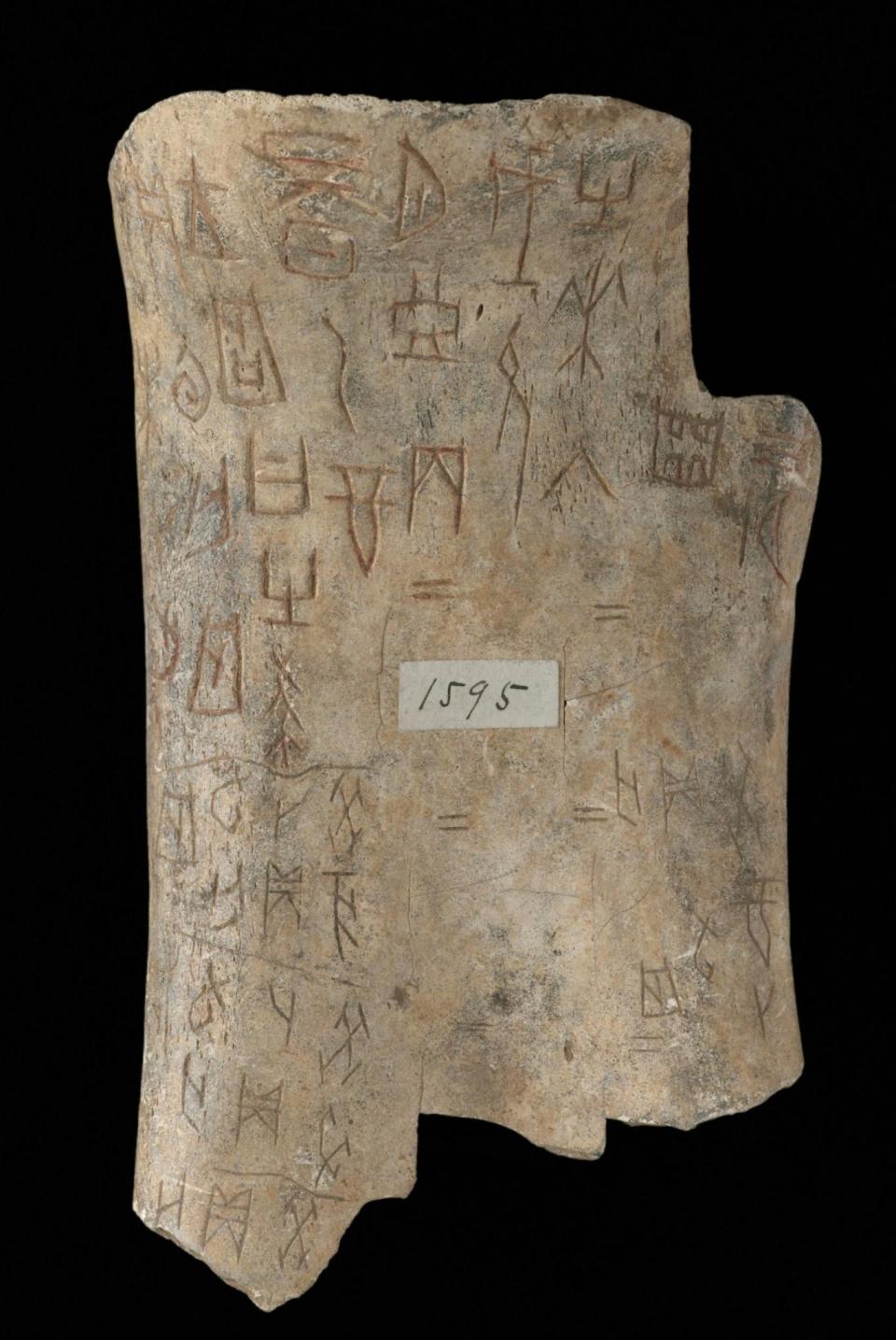 Chinese Oracle Bones (British Library)