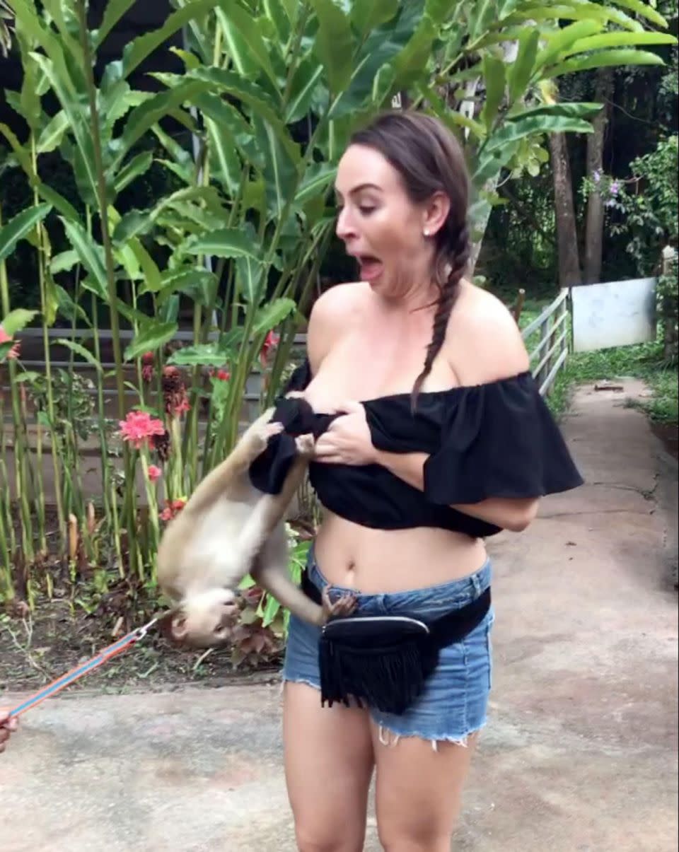 This cheeky monkey almost exposed a tourist’s boobs after pulling her top down while climbing on top of her. Photo: Caters News