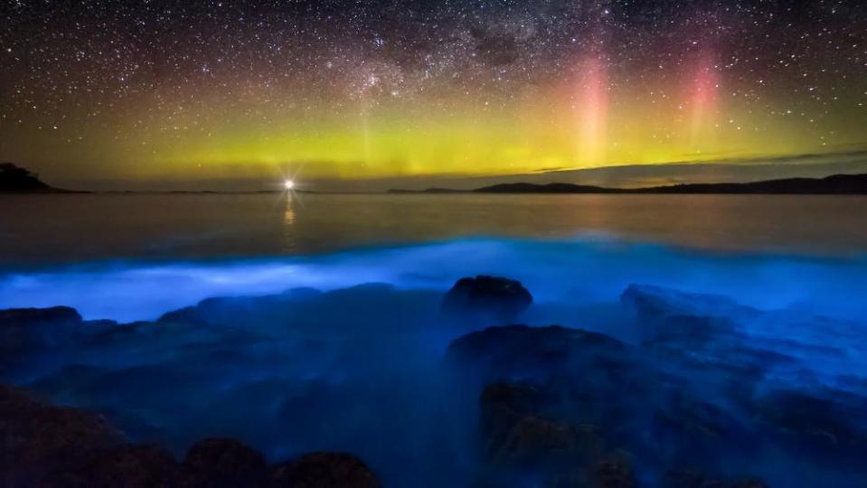 Aurora Australis or southern lights in the sky over blue bioluminescence at South Arm near Hobart.