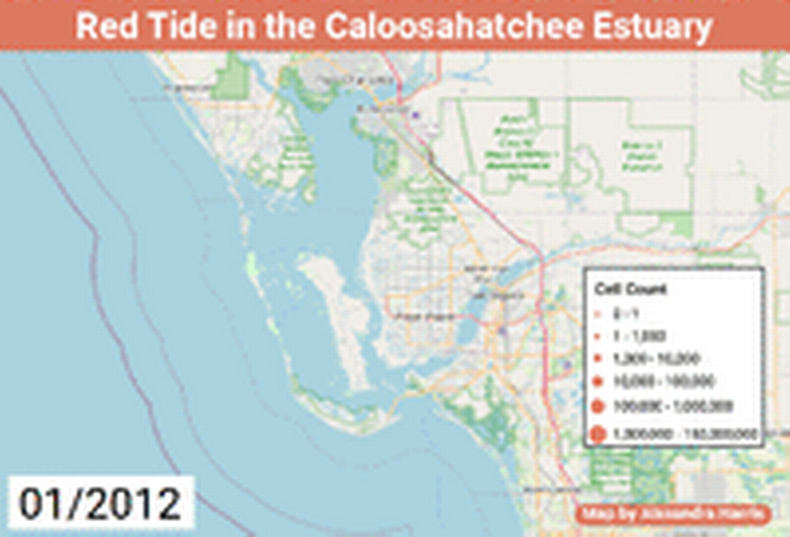 Red tide prevalence data in the Gulf of Mexico near Charlotte Harbor show where blooms have appeared in three-month intervals between 2012 and 2021, the period analyzed in the recent UF study, represented as Q1, Q2, Q3 and Q4. Red circles indicate Karenia brevis cell counts, with larger circles indicating higher counts. Open circles indicate samples with zero cells. Cell counts below 100,000 are considered low; above 1 million high. Data provided by the Florida Fish and Wildlife Conservation Commission and NOAA National Centers for Environmental Information’s Harmful Algal Blooms Observing System.