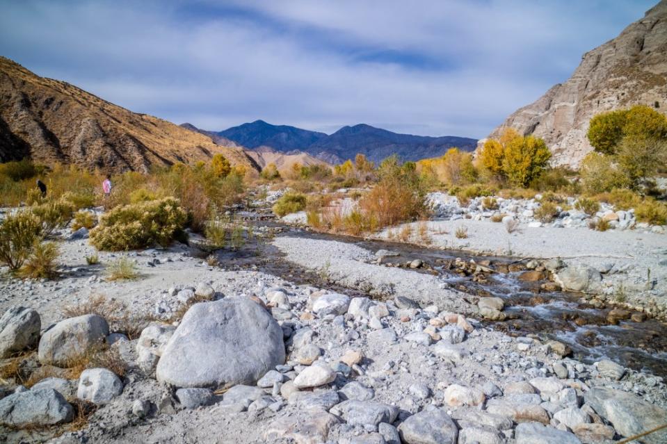 A natural preserve of natural resources at Whitewater Preserve, California via Getty Images