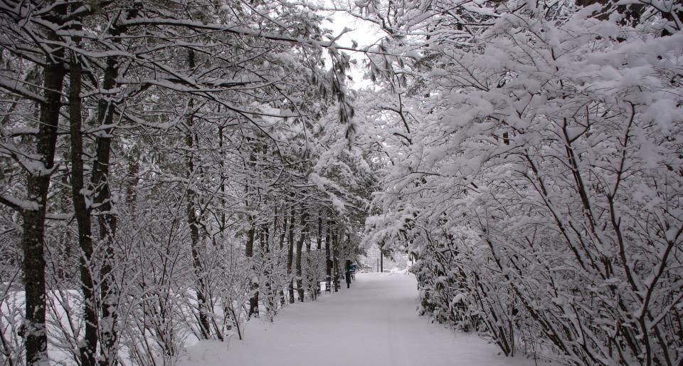 The trees on the left of this photo were in front of the Braznell's home prior to the construction of the Ecusta Trail.