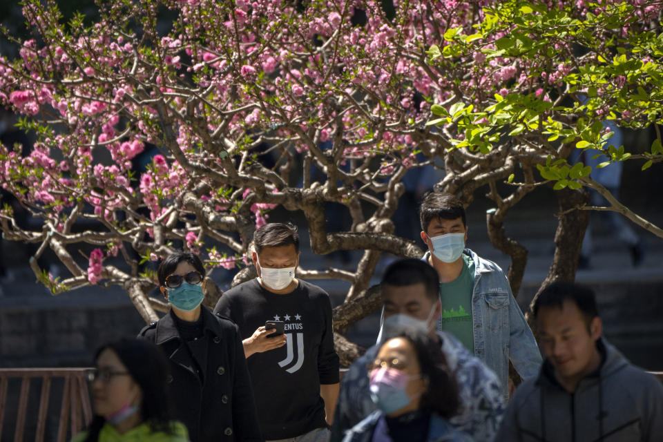 People wearing face masks walk near blossoming trees at a public park in Beijing, Thursday, April 14, 2022. (AP Photo/Mark Schiefelbein)