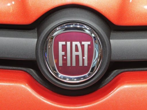 Fiat will stay in Italy thanks to profits generated abroad, particularly in the United States, the chief executive said amid rising angst that it may be preparing to shed jobs in Italy