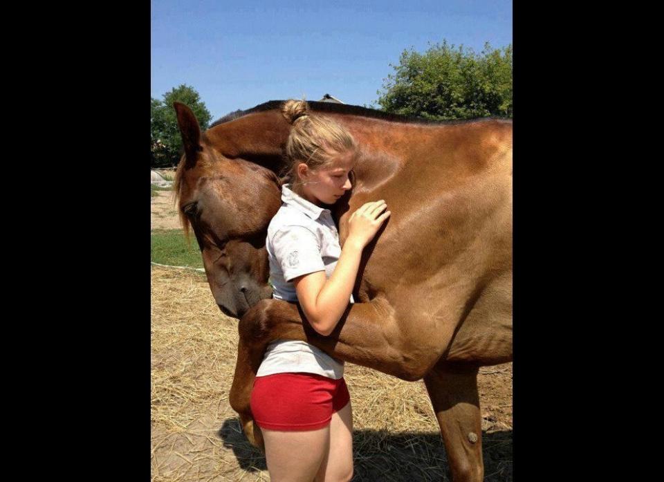 A horse embraces a young girl in a picturesque hug.    (<a href="http://imgur.com/qeYIL?tags" target="_hplink">Image via Imgur</a>)