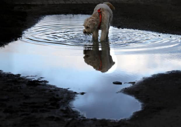 Frank Augstein/Associated Press